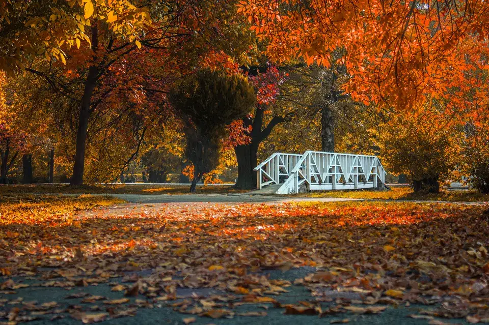 roofing contractor Schiller Park